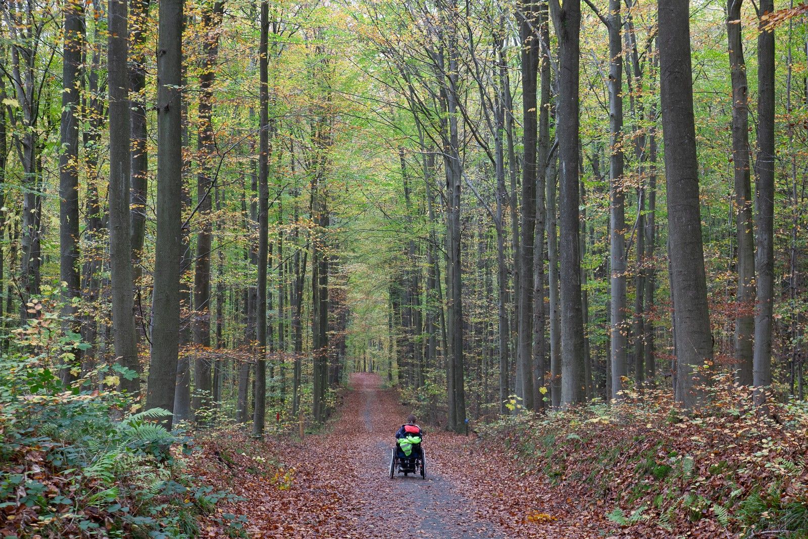 || Rollend Materiaal ||